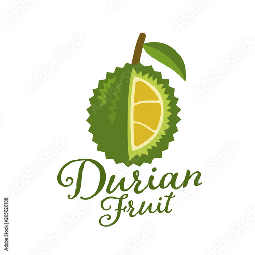 King of fruits, durian Vector illustration