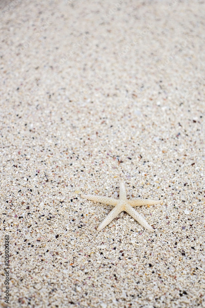 Summer concept of sandy beach. Summer vacation concept Summer concept of sandy beach. Summer vacation concept