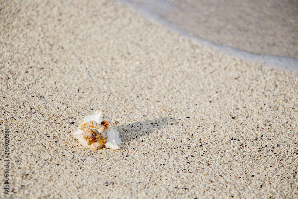 Summer concept of sandy beach. Summer vacation concept Summer concept of sandy beach. Summer vacation concept