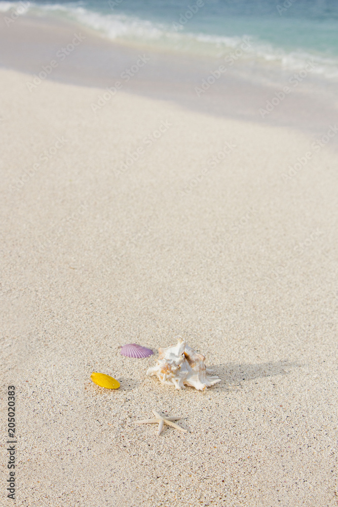 Summer concept of sandy beach. Summer vacation concept Summer concept of sandy beach. Summer vacation concept