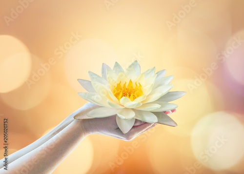 Vesak day, Buddhist lent day, Buddha's birthday, Buddha Purnima worshiping, and world human spirit concept with woman prayer’s hands holding lotus water illy flower 