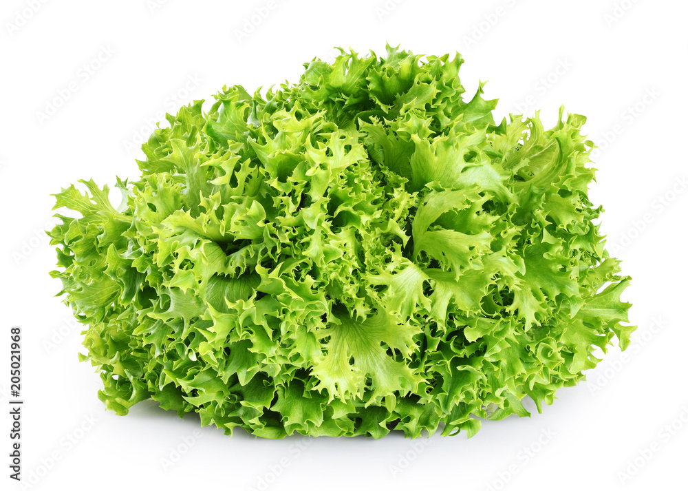 Fresh endive lettuce isolated on white background. Fresh endive lettuce isolated on white background.