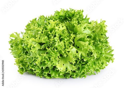 Fresh endive lettuce isolated on white background.