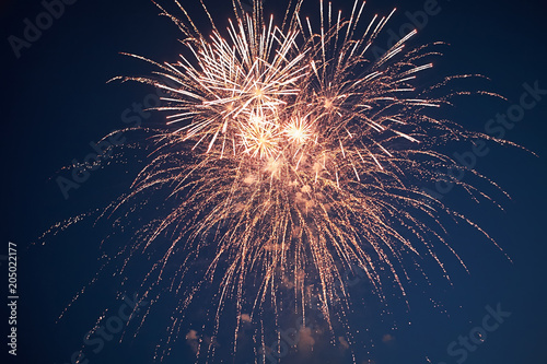 Slika na platnu Stars of the fireworks are on a dark blue background