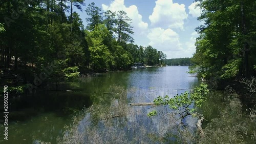 Rising Aerial Flyover of Marsh Grass By the Shore in a Shallow Section of Lake photo