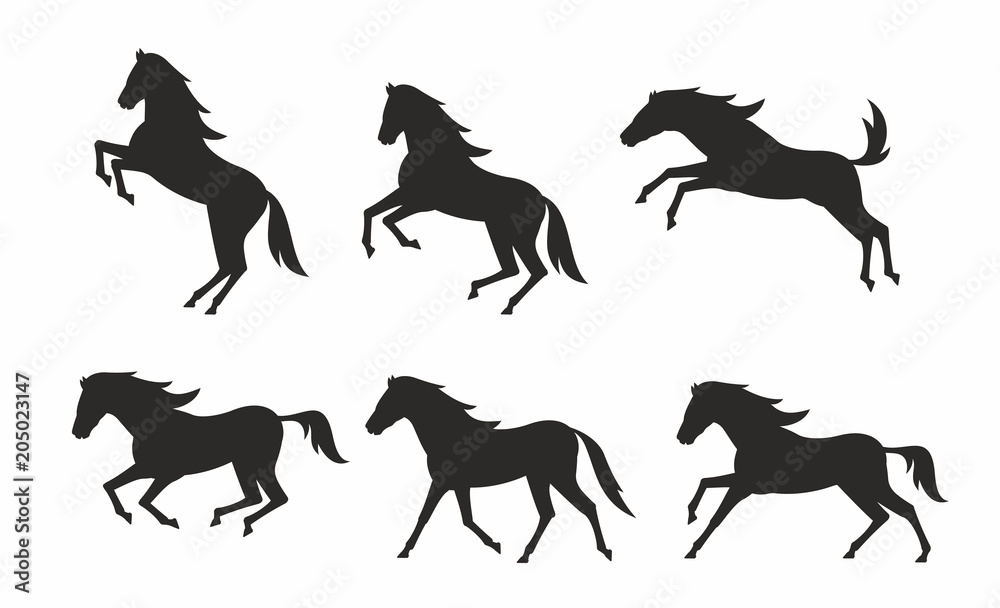 Obraz Set of horses silhouettes. flat style. isolated on white background