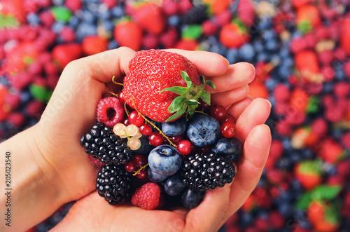 Woman hands holding organic fresh berries against the background of strawberry, blueberry, blackberries, currant, mint leaves. Top view. Summer food. Vegan, vegetarian and clean eating concept. photo