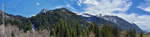 Panoramic Views of Wasatch Front Rocky Mountains from Little Cottonwood Canyon looking towards the Great Salt Lake Valley in early spring with melting snow, pine trees and budding Quaking Aspen in Uta