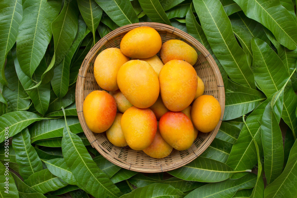 Mango tropical fruit in wooden basket put on green leaf background, top  view Photos | Adobe Stock