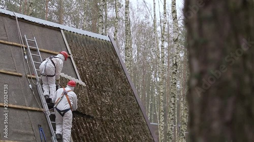 Three laborers safely remove sheets of asbestos material from the roof of a rural home in a forest photo