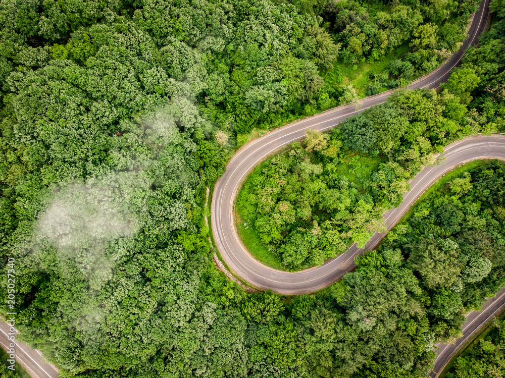 Winding road in the forest aerial view from a drone Winding road in the forest aerial view from a drone