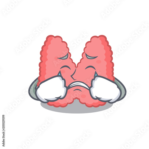Crying thyroid mascot cartoon style photo