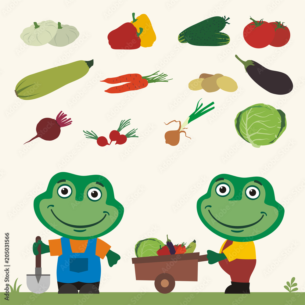 Naklejka premium Set of isolated vegetables: squash, peppers, cucumbers, tomatoes, zucchini, carrots, potatoes, eggplant, beet, radishes, cabbage, onion. Two funny frogs farmers.