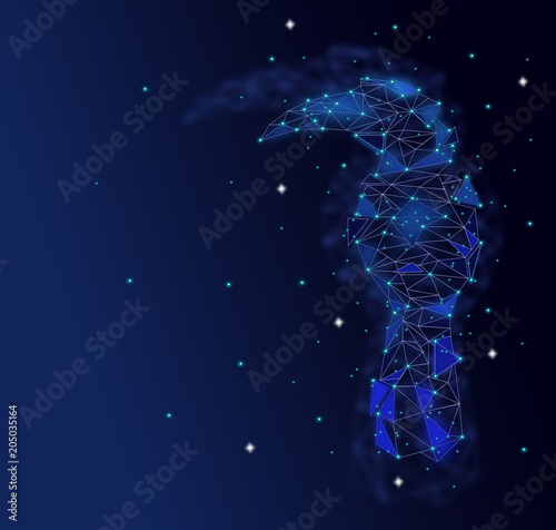 Low poly Blue Hornbill bird with Galaxy background,animal geometric,Abstract vector. 