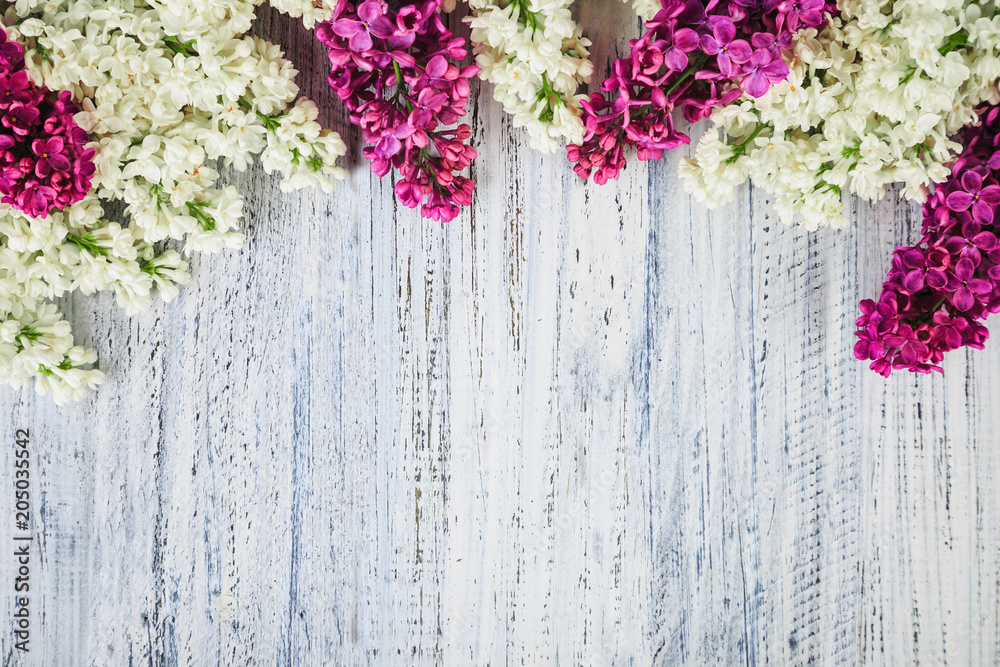 Fototapeta premium green on a wooden background