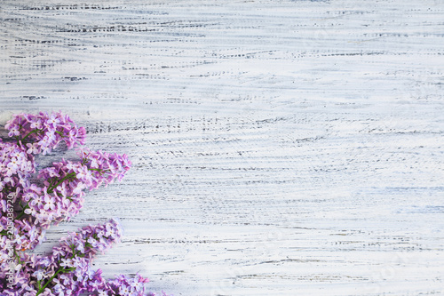 green on a wooden background