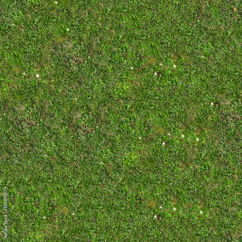 Green Grass. Seamless Tileable Texture.