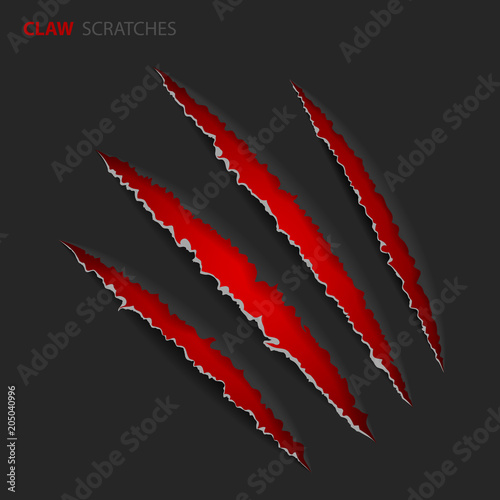 Scratch Claws of Animal