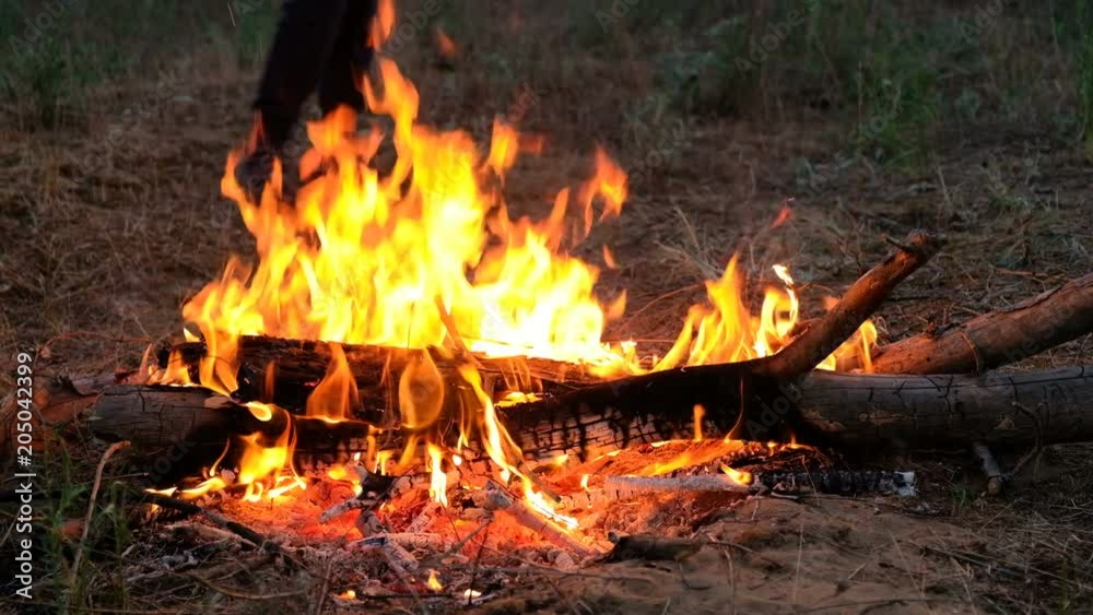 Burning bonfire, close-up view. Flickering Flames Wood Fire, 4K.
