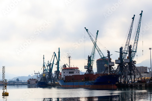 Cargo port on Black Sea in Batumi, Georgia © olyasolodenko