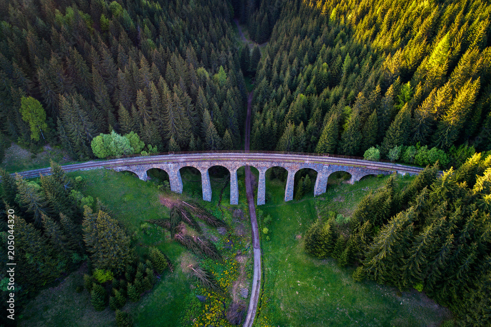 Fototapeta premium Historic railway viaduct near Telgart in Slovakia