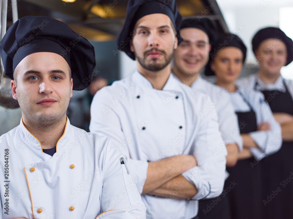 Fototapeta premium Portrait of group chefs
