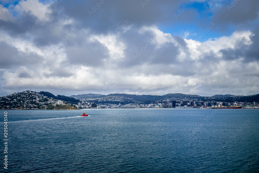 Wellington city view from the sea, New Zealand