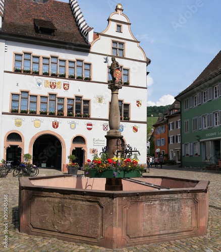 Staufen im Breisgau photo