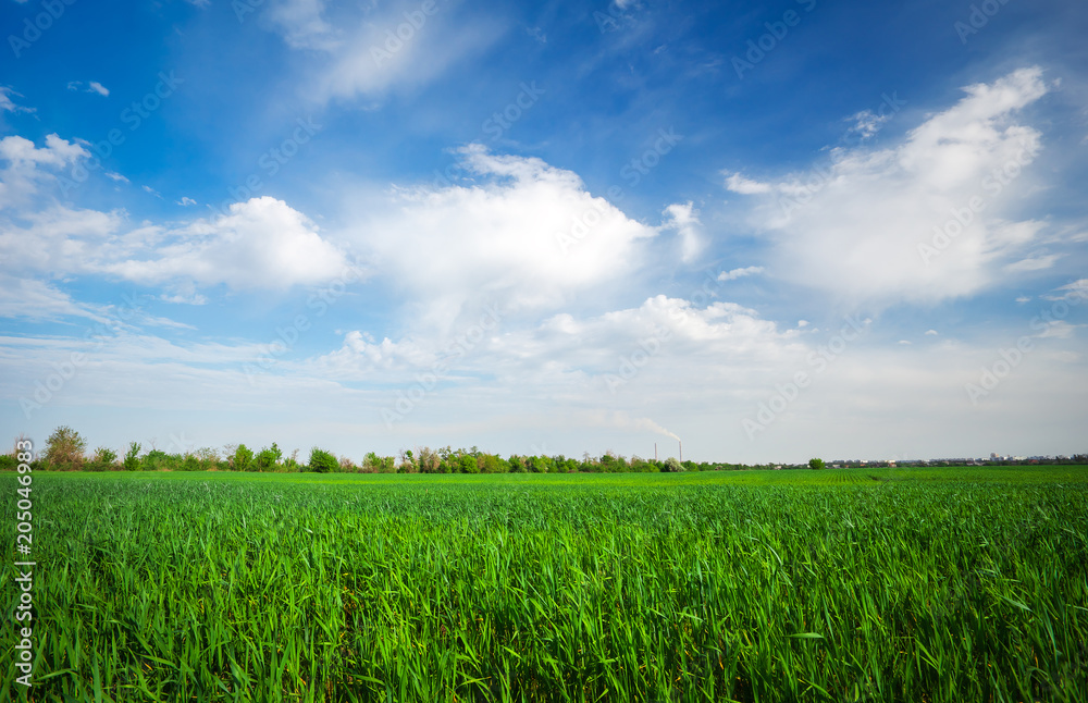 Landscape made in the daytime. Beautiful cloudy sky. Green field in the country. Landscape made in the daytime. Beautiful cloudy sky. Green field in the country.