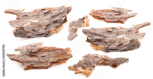 Pieces of pine bark isolated on white