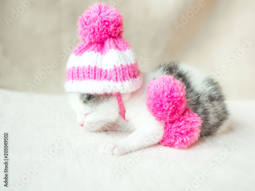 A cute little kitten in a pink knitted hat with pompoms sleeps on a white carpet. Cute sleeping kitty in hat