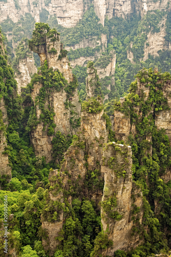 Vertical rock formations of Zhangjiajie National Forest Park, Hunan China Vertical rock formations of Zhangjiajie National Forest Park, Hunan China