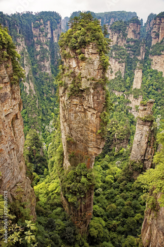 Famous pillar of Avatar Floating Mountain, Zhangjiajie Mountains China © David Davis