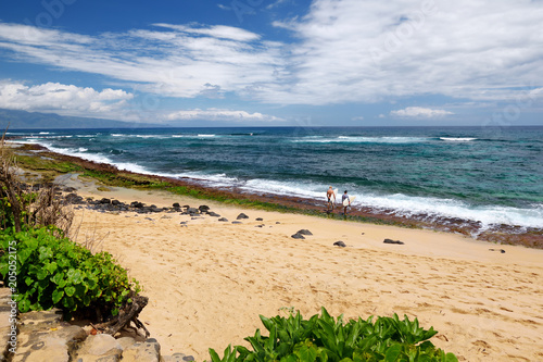 Famous Hookipa beach  popular surfing spot filled with a white sand beach  picnic areas and pavilions. Maui  Hawaii
