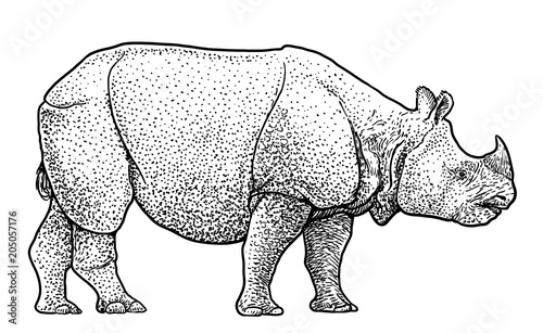 Indian rhinoceros illustration, drawing, engraving, ink, line art, vector