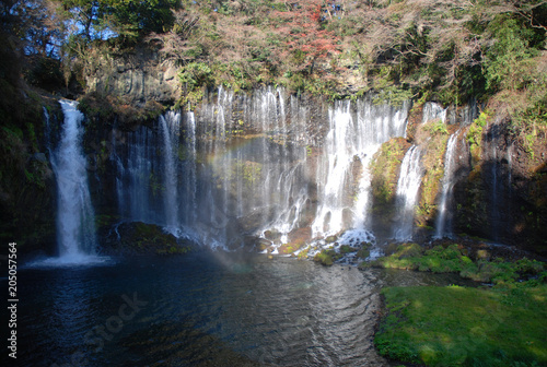 Shiraito-no-taki waterfall with the rainbow in autumn                              -          