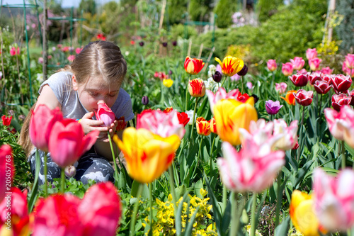 cute child smelling tulip in a beautiful garden