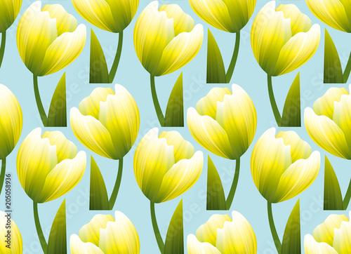 yellow and green realistic flower tulip.