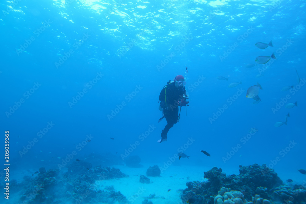 custom made wallpaper toronto digitalscuba driving