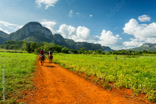 Vinales, Cuba. Horse riding photo