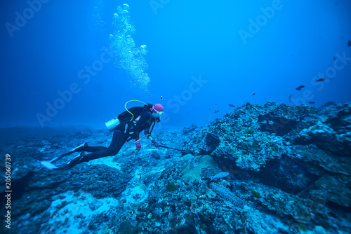 Wallpaper Mural scuba driving Torontodigital.ca
