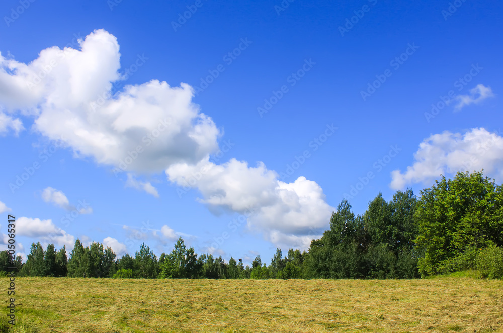 Summer landscape in countryside.