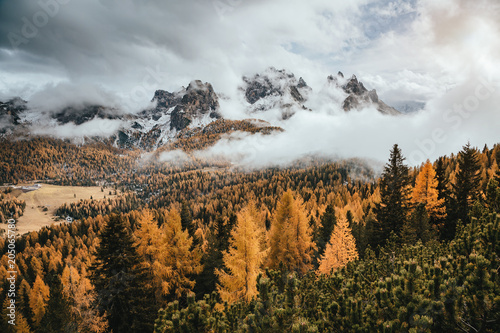 Great view of the yellow larches. National Park Tre Cime di Lavaredo, Dolomiti alp, Tyrol, Italy.