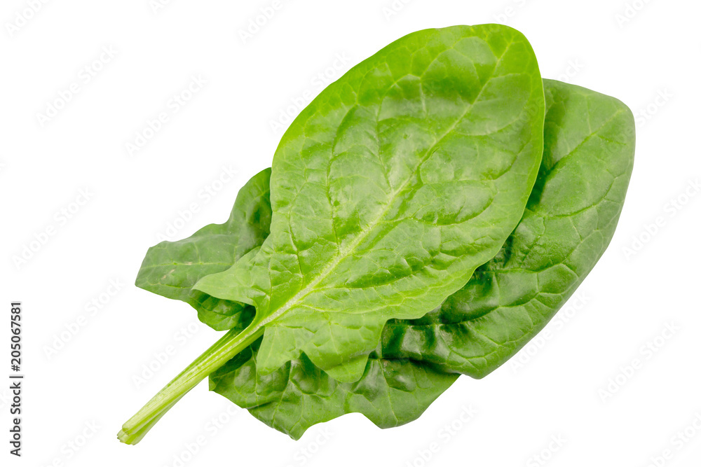 Spinach leaves close up isolated on white background with clipping path.