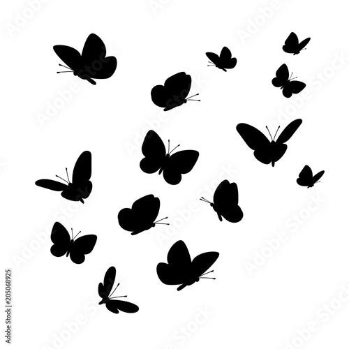 Flying butterflies silhouettes