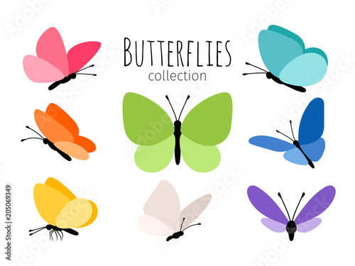 Colored spring butterflies