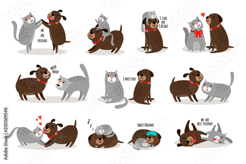 Dog and cat together