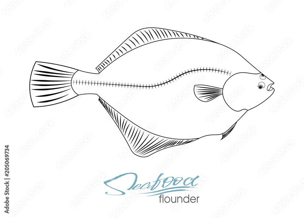 Flounder fish silhouette. Linear silhouette sea fish. Vector