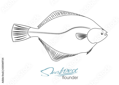 Flounder fish silhouette. Linear silhouette sea fish. Vector illustration. Icon badge flounder fish for design seafood packaging and market. Edible sea food