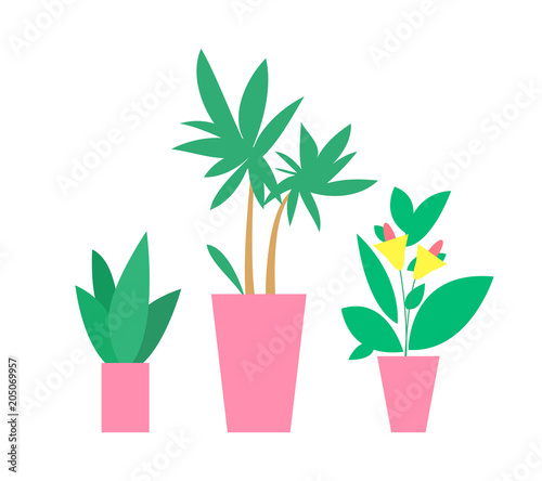 Plants in Pots Interior Decor Vector Illustration